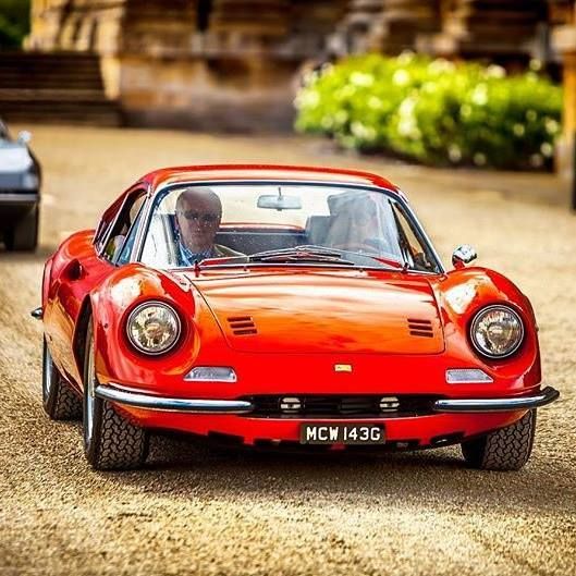 ItaliAuto's tweet image. Dino ❗️