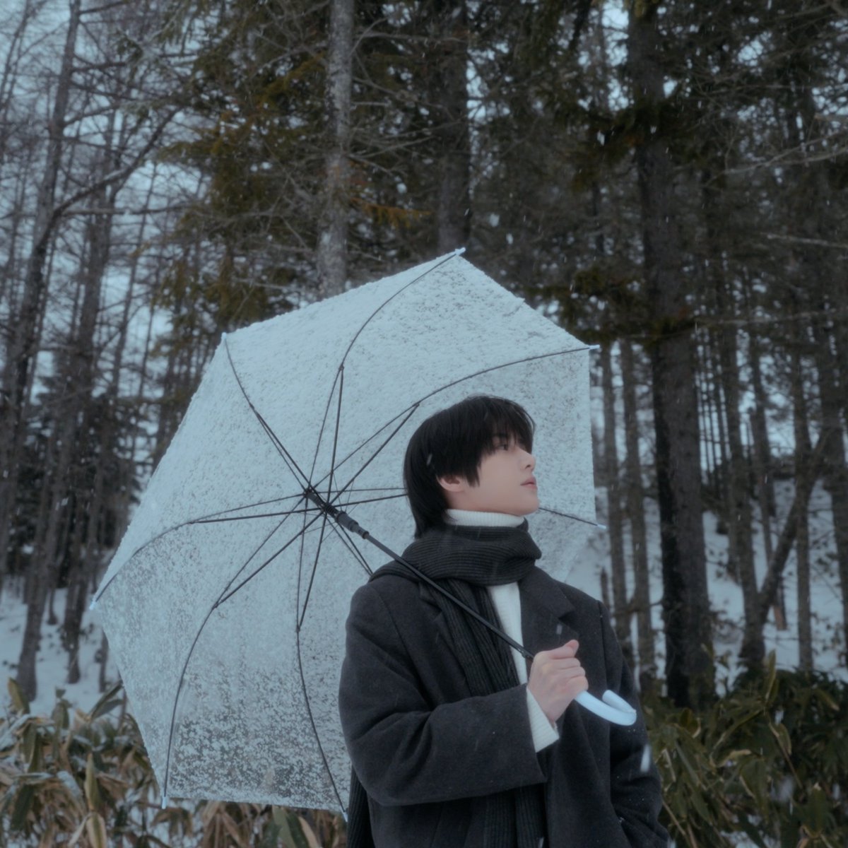 ATHADOR_'s tweet photo. "Saljunya mulai turun"
"Hujannya semakin deras" 

Berada di dua belahan bumi berbeda tapi satu musim yg membuat mereka mengingat satu sama lain. Langitnya sama hanya mereka yg kini terlihat berbeda dan CINTAnya? Entahlah, tanyakan saja pada ego mereka yg terlalu tinggi kala itu. https://t.co/LaH4me42O2