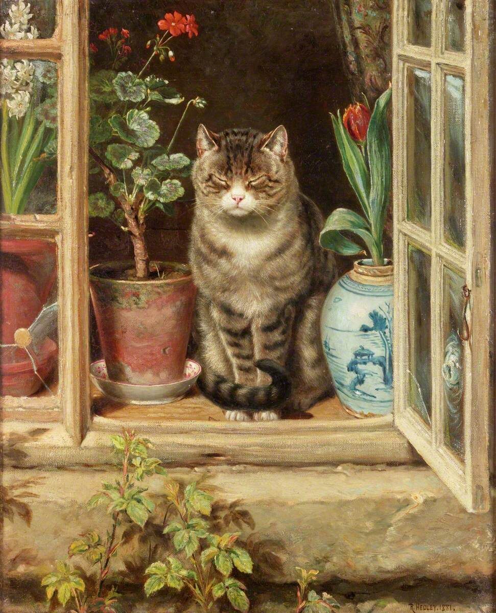 archaeologyart's tweet photo. Blinking in the Sun (often described as a “cat in a cottage window”). Artist: Ralph Hedley (1848–1913). Date: 1881. Medium: Oil on canvas. Size: 53 × 42.9 cm. Collection: Laing Art Gallery, Newcastle upon Tyne. https://t.co/gbbpVYvEm9