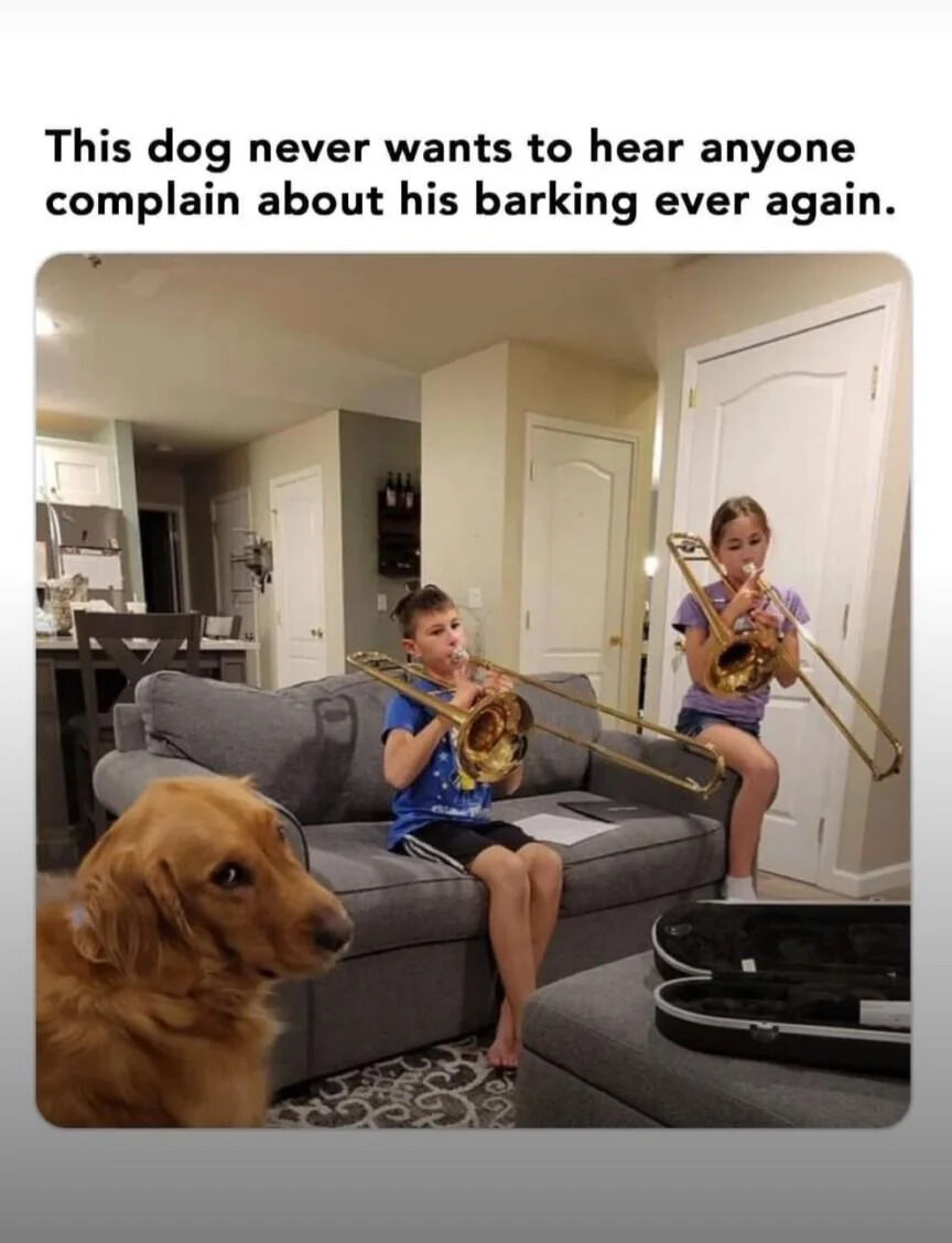 WholesomeMeme's tweet image. 