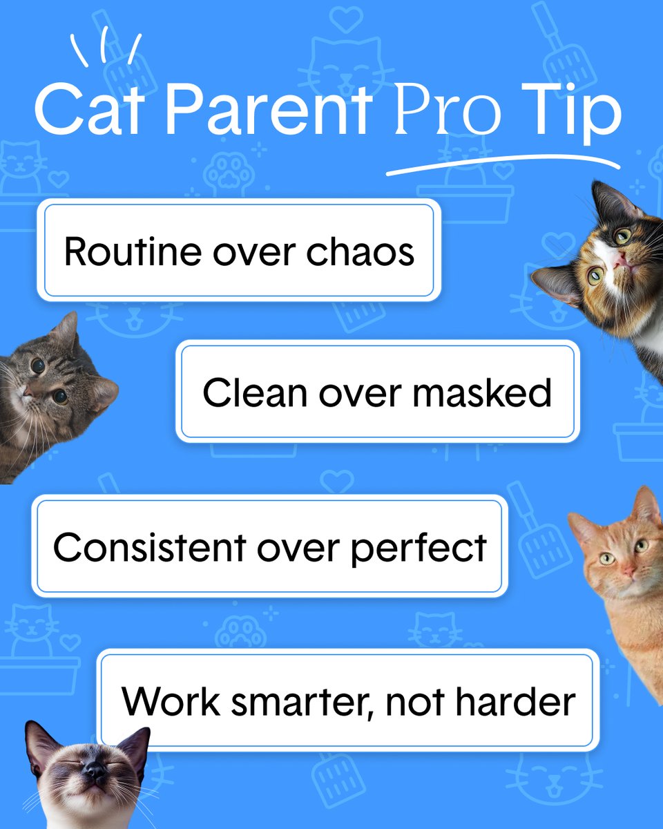 HelloBoxiecat's tweet image. Tell us in the comments which have worked best for you 👇