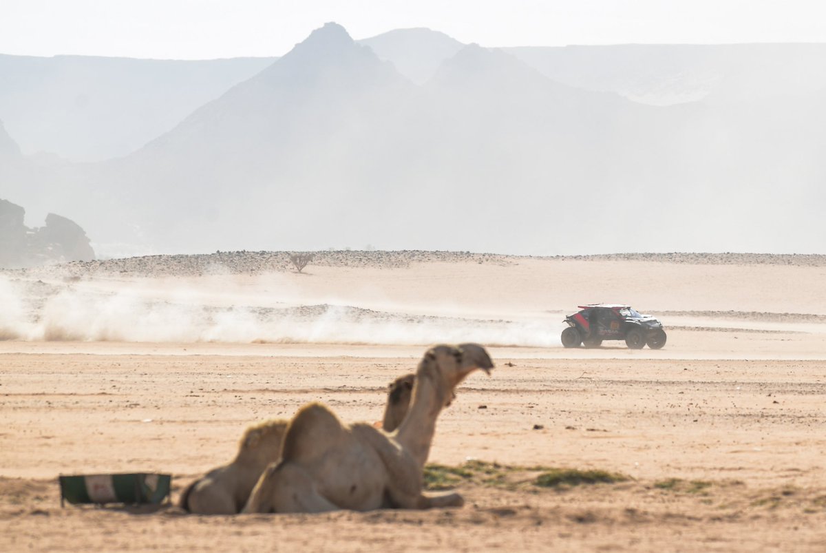 عبدالله العكشان 🇸🇦 tweet media