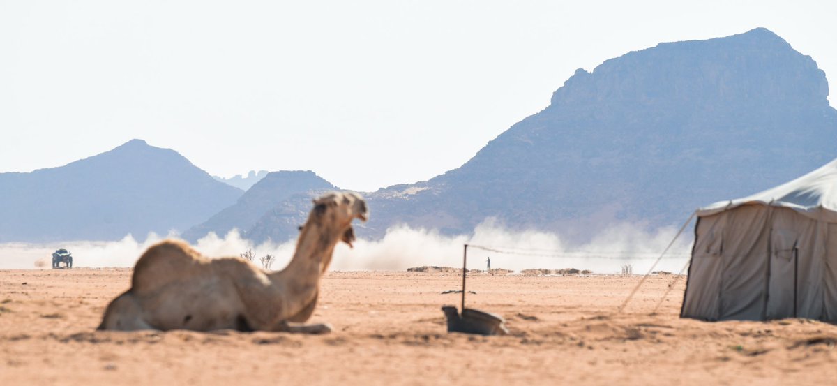 عبدالله العكشان 🇸🇦 tweet media