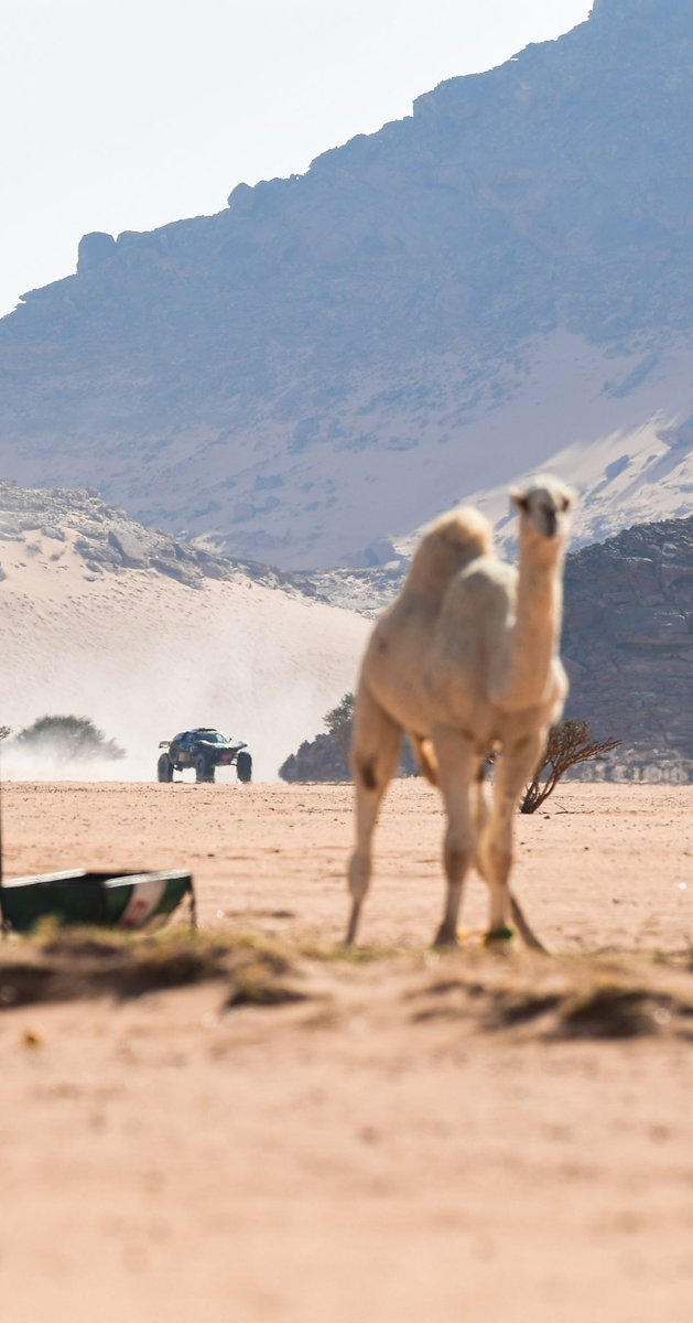 عبدالله العكشان 🇸🇦 tweet media