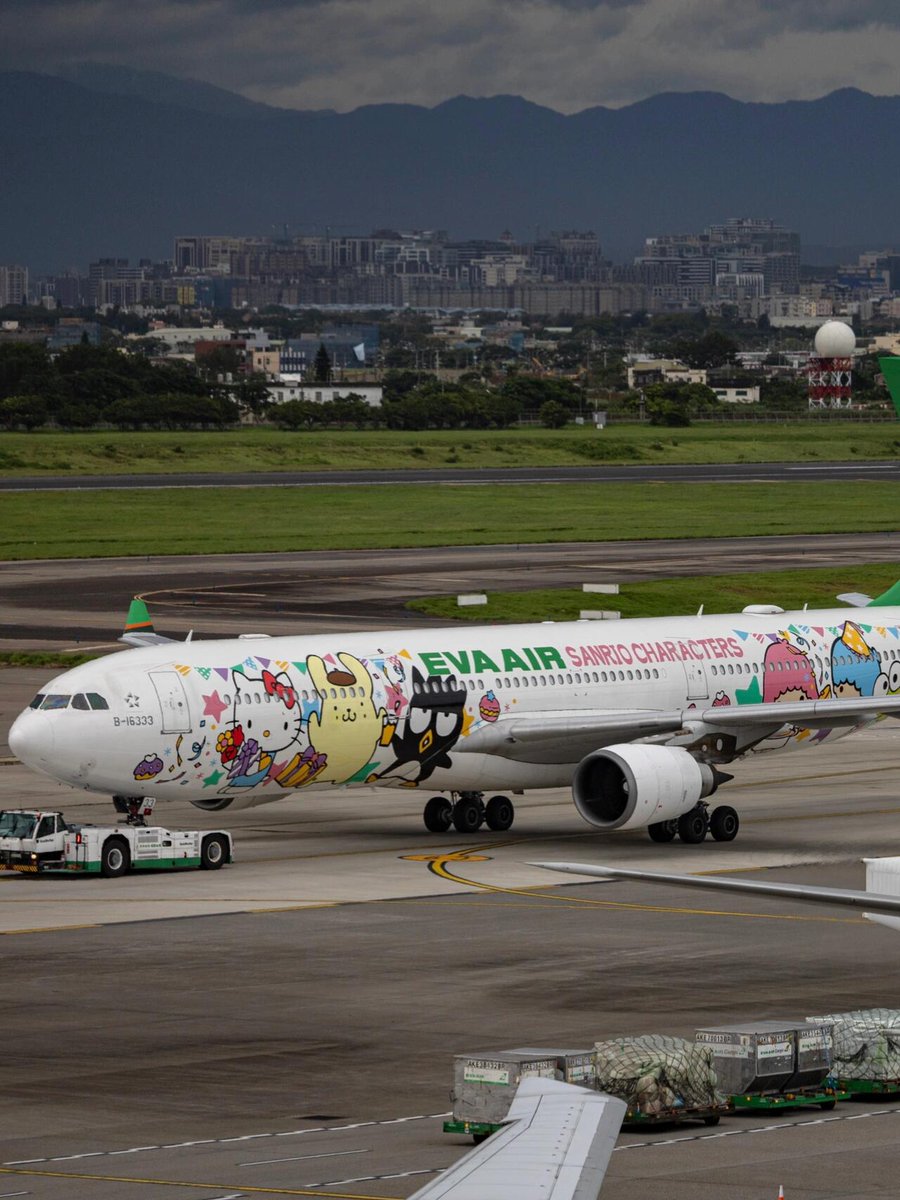 MillerTimoby's tweet image. 飛行機もかわいいですね！