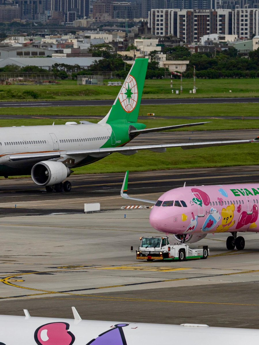 MillerTimoby's tweet image. 飛行機もかわいいですね！