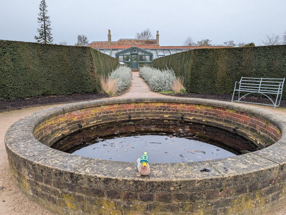 Mr Quacks tweet media