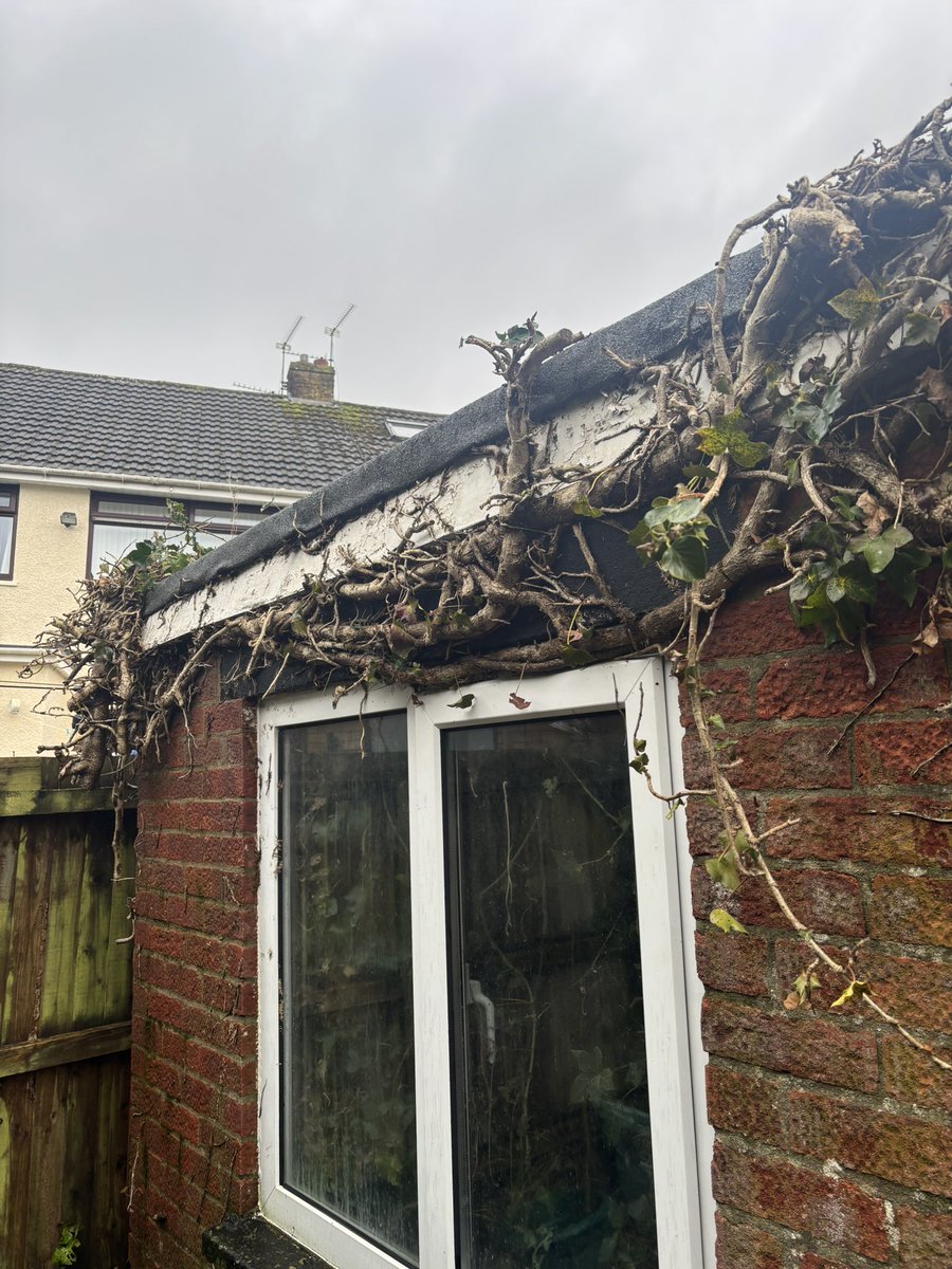 #HONESTMAN4HIRE tweet media