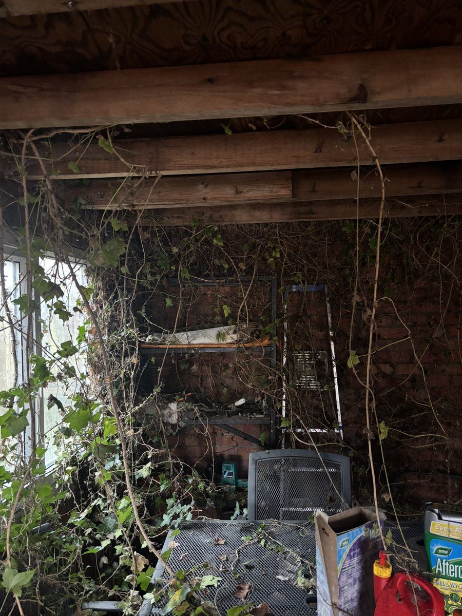 #HONESTMAN4HIRE tweet media