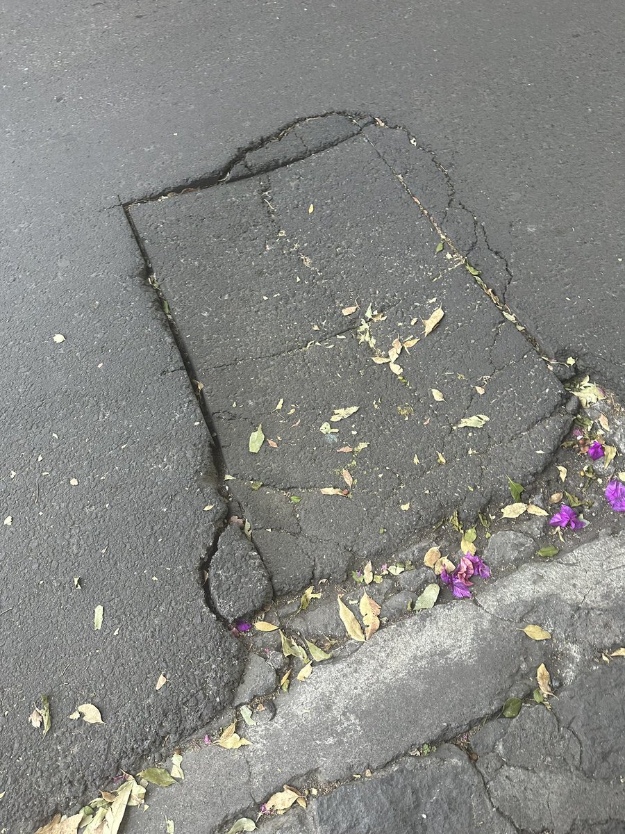 Carolina Lopez Hgo tweet media