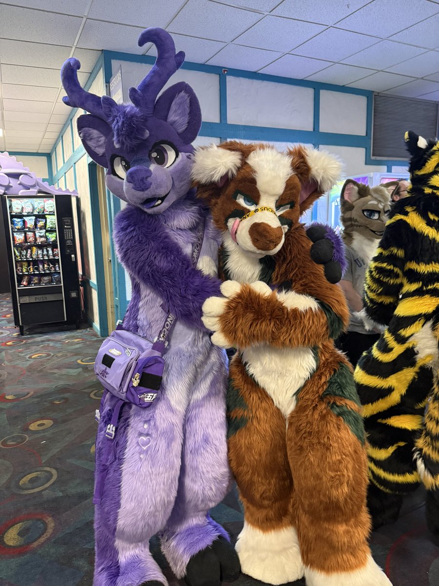 Lavendeer🦌🟣 🔜 FWA tweet media