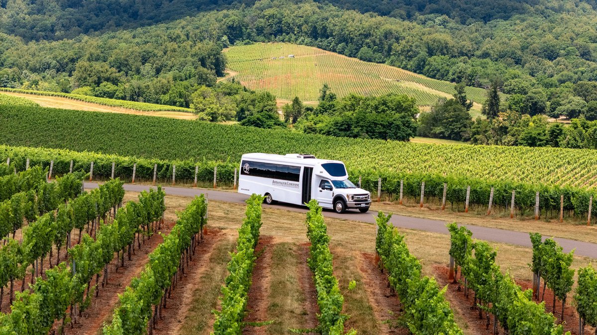 Planning a vineyard tour this month? Let us handle the driving so you can relax and enjoy. Our chauffeurs know the best Charlottesville wineries. Where’s your favorite tasting spot? Call (434) 973-5466 and reserve your ride today!

#WineTour #LimoService
