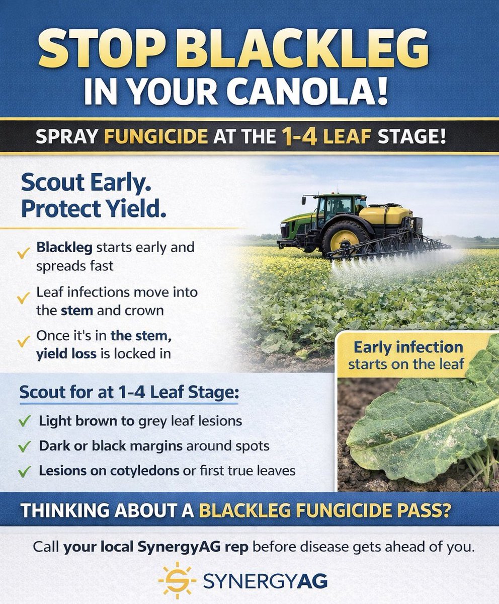 SynergyAG Govan tweet media