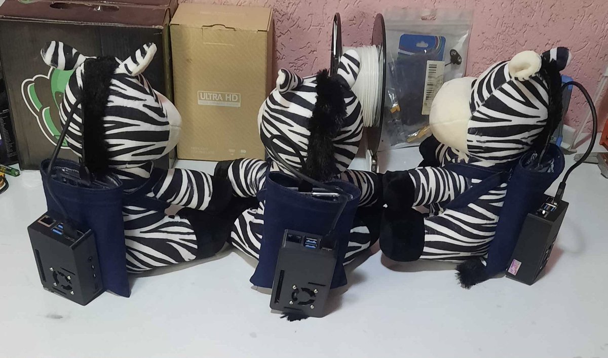zcashbrazil's tweet photo. @rpimagazine ZebraPi https://t.co/MzXEKUkKLP https://t.co/dsrw9FxS2a