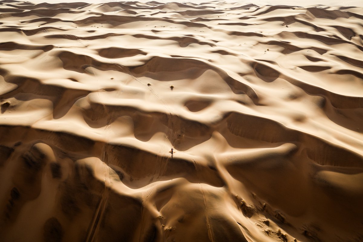 Rally Raid News tweet media