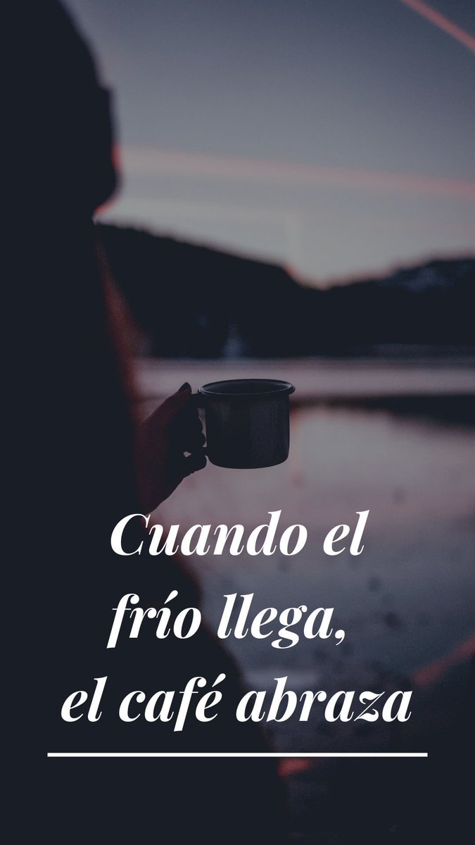 Mimi Crazy Little Coffe's ☕🤪🔆 tweet media