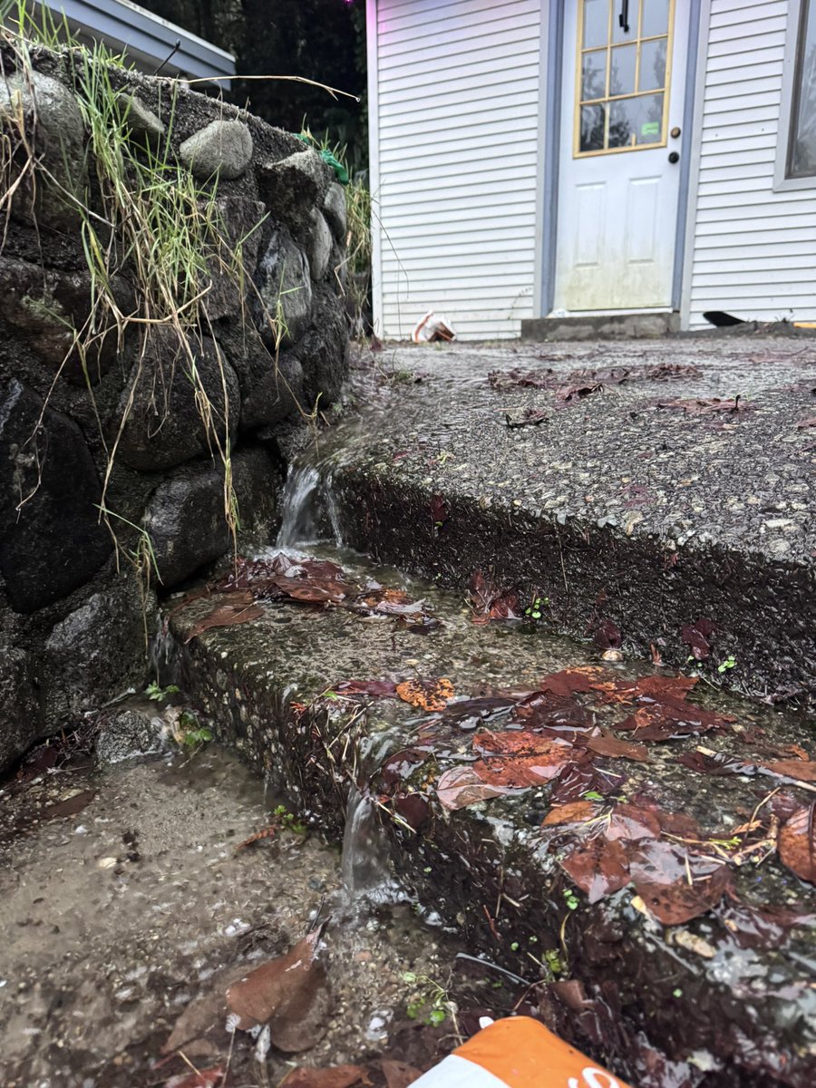 best_vancouver's tweet photo. It has been absolutely pouring in #Belcarra! In the last 24 hours we have had over 120mm of rain. Still coming down in buckets 🪣 
54mm since midnight and 67mm yesterday #BCStorm #BCwx #BCRain https://t.co/u0FjY0JXU9