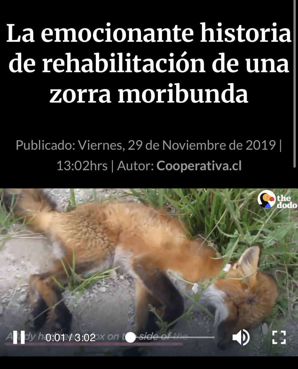 cachorrao0111's tweet photo. https://t.co/zVpyWKhHj1