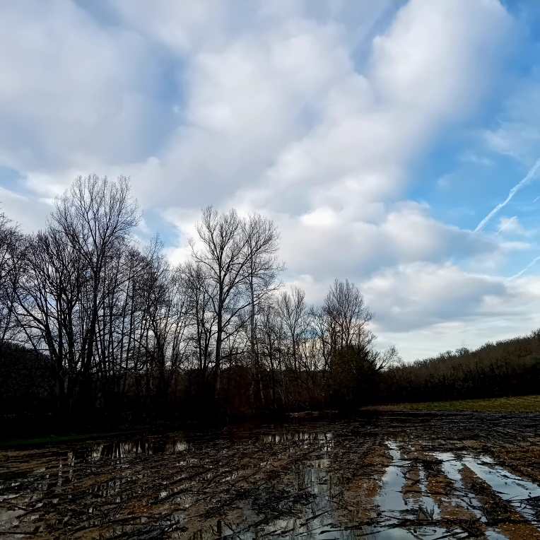 Caroline Scott tweet media