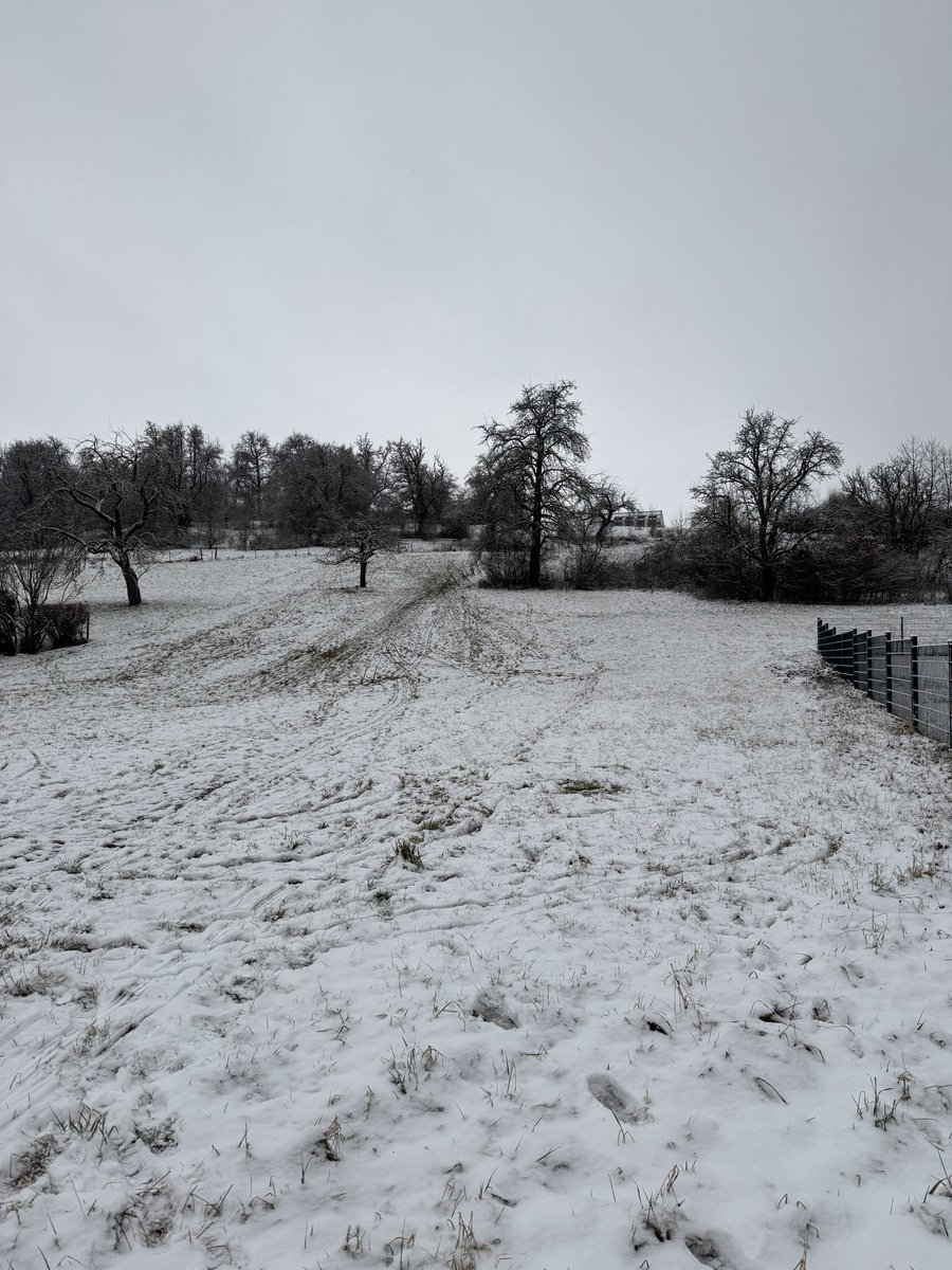 RealMadridSinFiltros🐆 tweet media