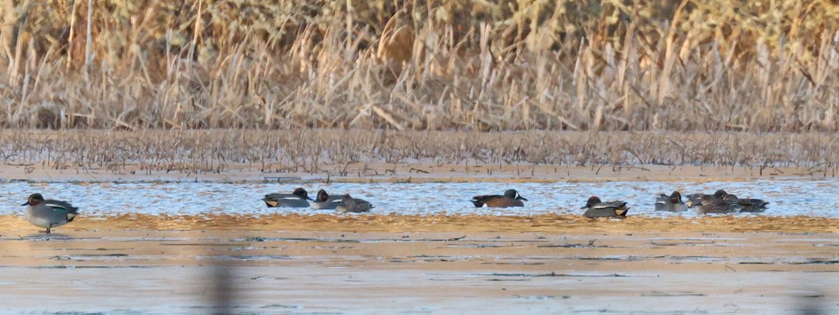 Dave Pullan ๐ด๓ ง๓ ข๓ ณ๓ ฃ๓ ด๓ ฟ tweet media