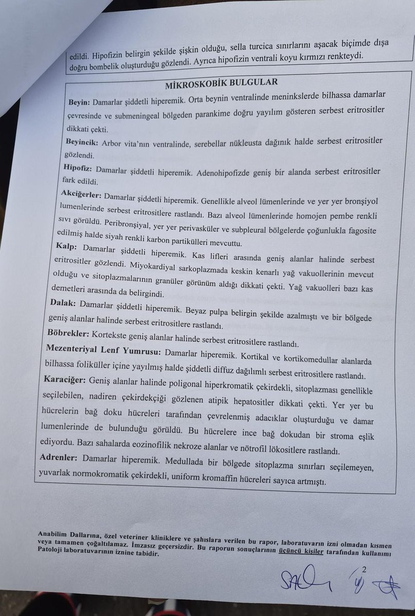 PatikaraDernegi's tweet photo. Matmazel’in nekropsi raporu, yaşananların bir kaza değil, açık ve tartışmasız bir cinayet olduğunu ortaya koymaktadır.

Bu vahşetin üzerinin örtülmesine asla izin verilemez. 

Cinayet derhal aydınlatılmalı, failler gecikmeksizin yakalanarak en ağır şekilde yargılanmalıdır.

Her konuda birbirine düşen muhalif belediyeler ile iktidar, konu hayvan katliamlarına geldiğinde ne yazık ki kol kola hareket etmektedir. 

Belediyeler eliyle, belediye işçileri ve yetkilileri aracılığıyla işlenen bu suçlar sistematik hâle gelmiştir.

Bizler, hayvanlara yönelik bu cinayetlerde sorumluluğu bulunan belediye çalışanları ve yetkililer için yatarı olan, caydırıcı hapis cezaları talep ediyoruz. 

Cezasızlık politikası sürdükçe bu katliamlar devam edecek; adalet sağlanmadıkça hiçbirimizin vicdanı rahat etmeyecektir.

#MatmazelİcinAdalet