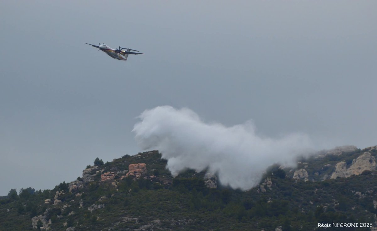 Association Prévention & Signalement Feux De Forêt tweet media