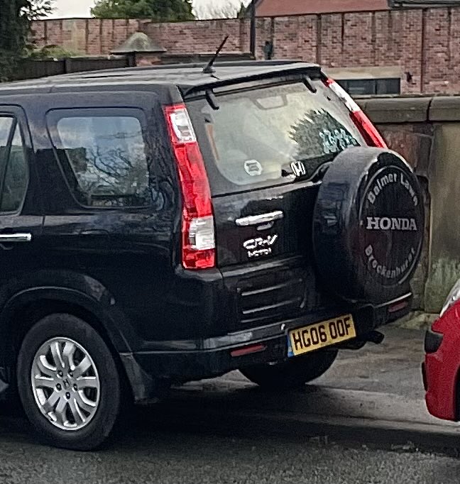 Dr. Zemf tweet media