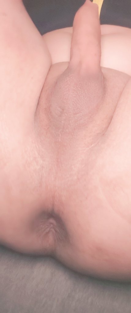 浩浩浩 tweet media