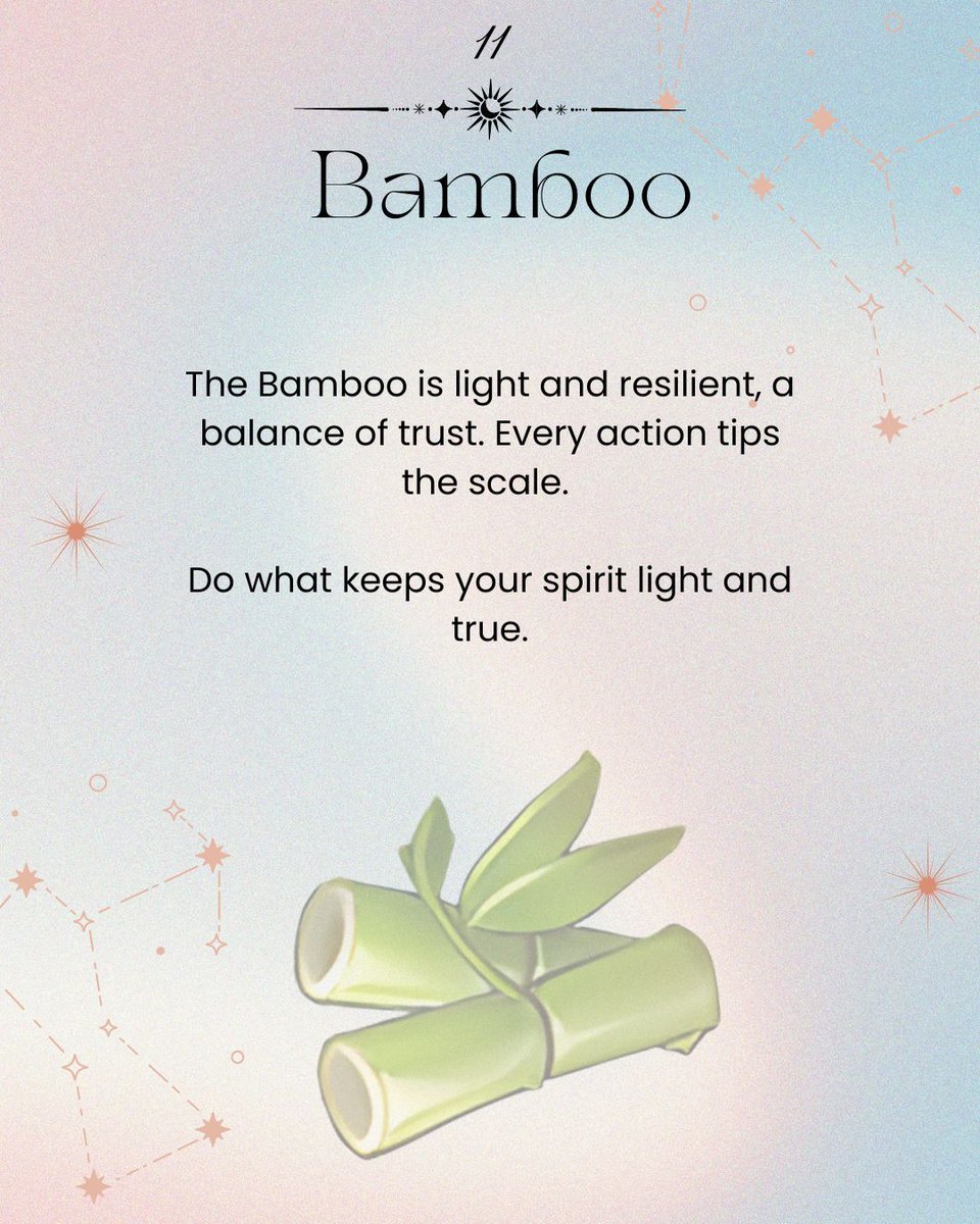 TalesOfSeikyu's tweet photo. It's a new year and a great time to remind you that every choice shifts the balance, so choose what keeps your spirit light and true. 🎍
#TalesofSeikyu #FantasyLifeSim #Tarot #Fortunes https://t.co/b7sBy7KdxW