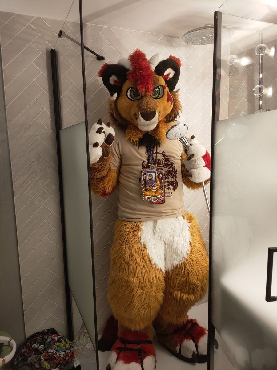 BegHaRest tweet media