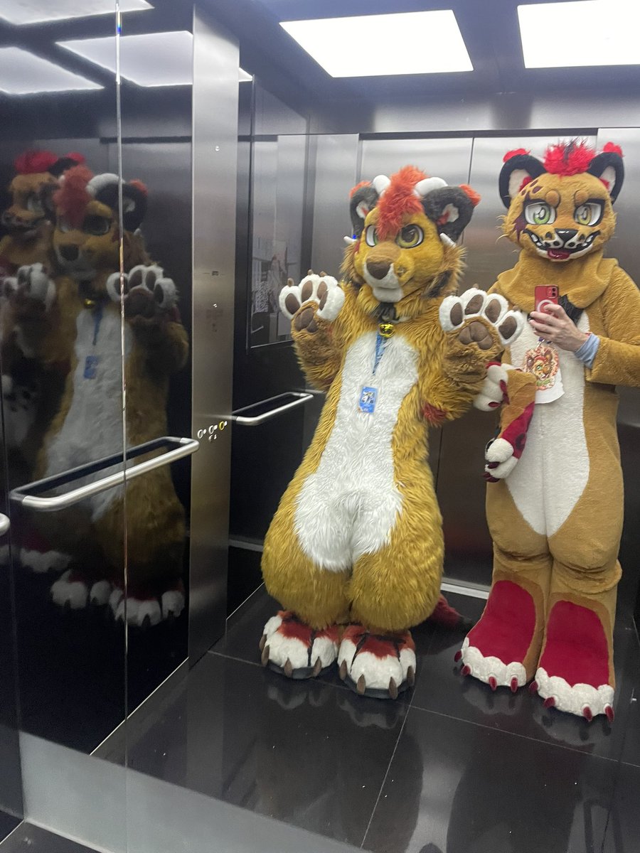 BegHaRest tweet media