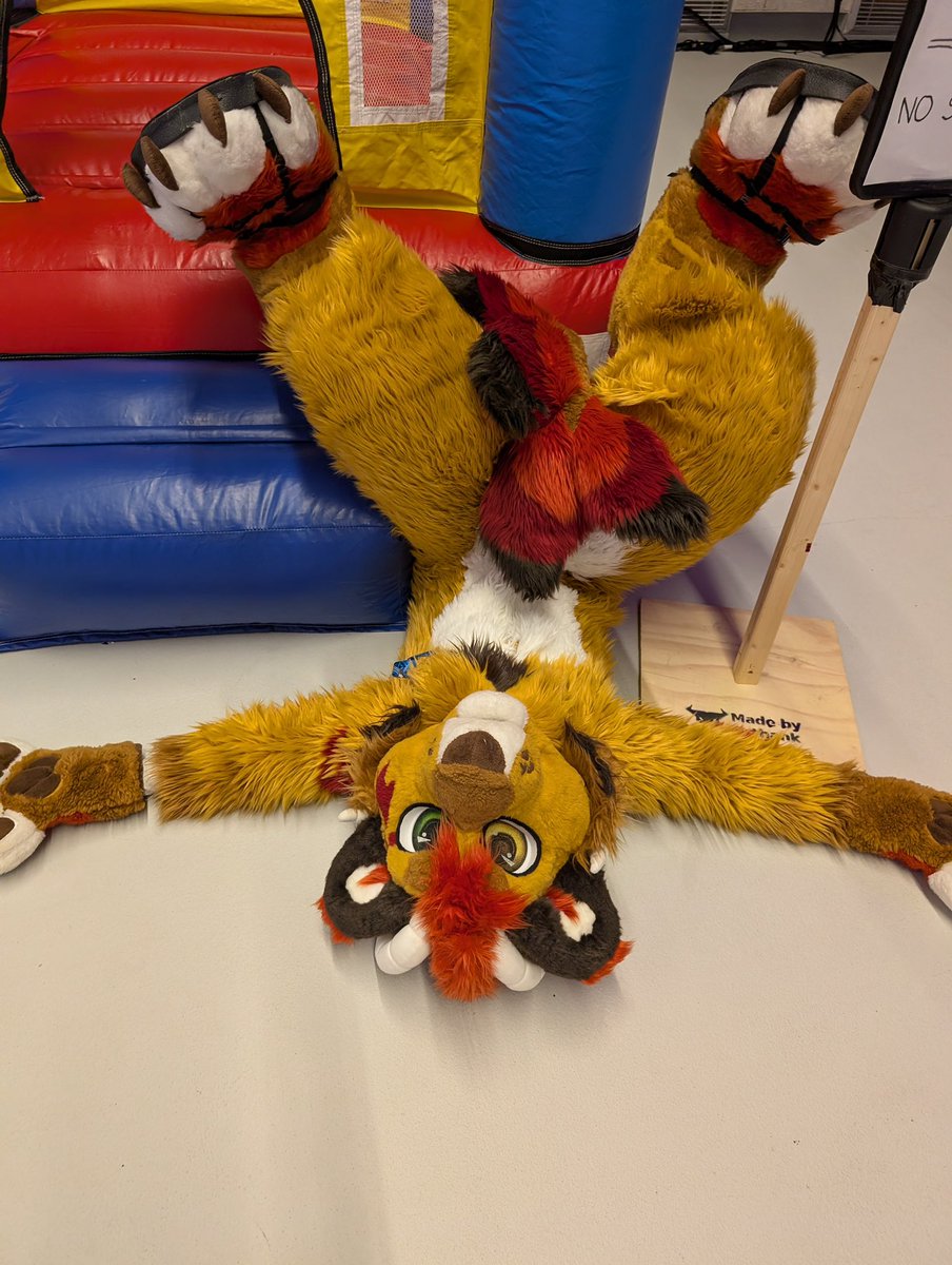 BegHaRest tweet media