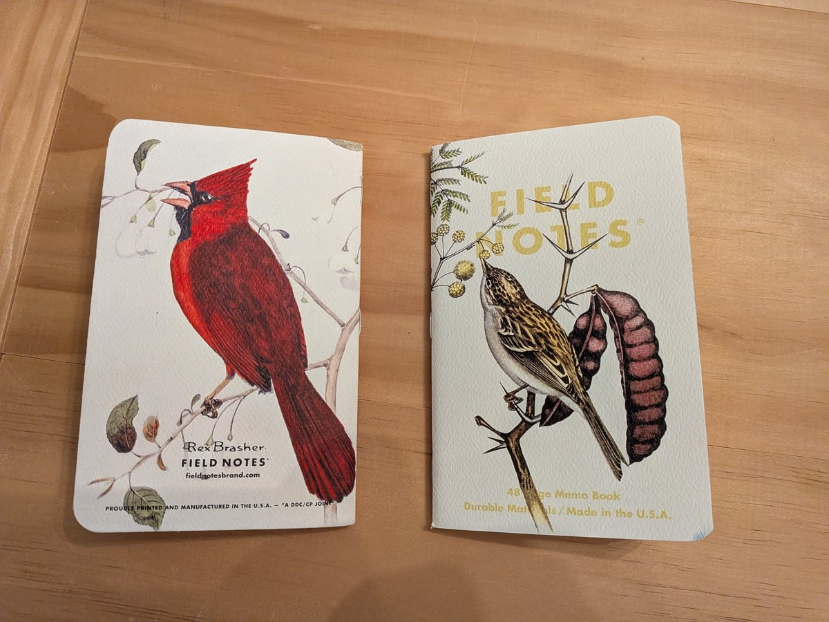 rustyblogs's tweet image. Cardinal book done.
Next up, sparrows.