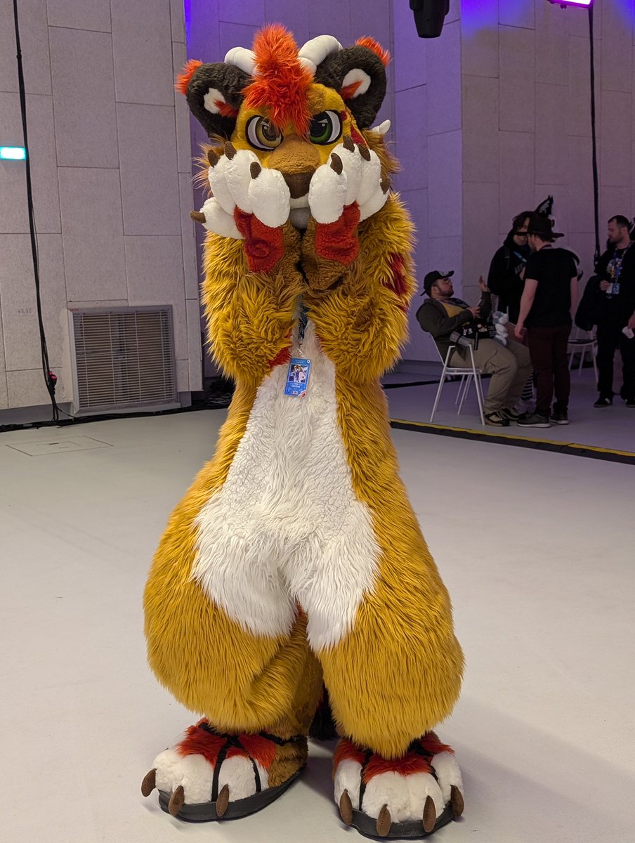 BegHaRest tweet media