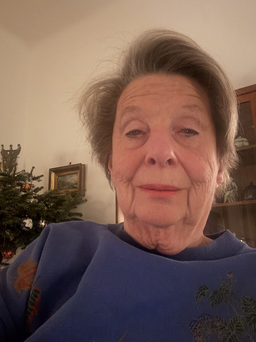 Ursula Stenzel tweet media