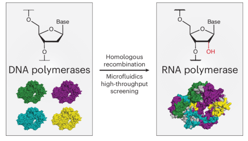 Nature Chemical Biology tweet media