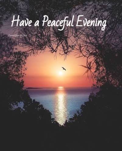 emilyedwards349's tweet image. What a busy day -
Relaxation must come uppermost this evening. Hoping everyone had a wonderful day, and wishing all a peaceful evening - 

#WritingCommunity #busyday #mondayevening #GoodEveningX