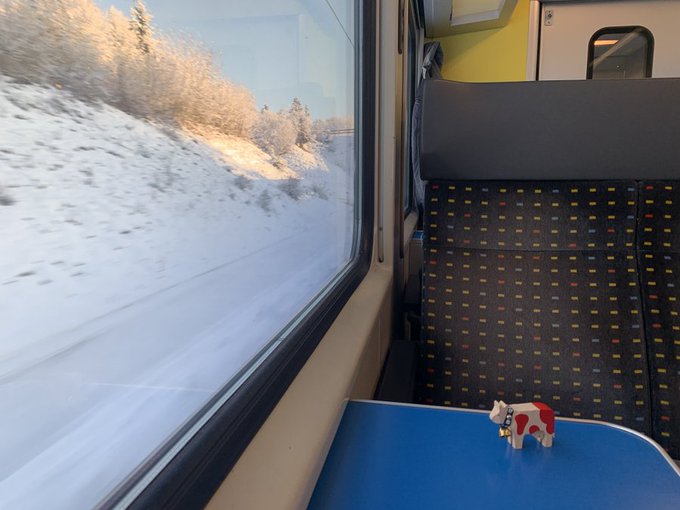 Happy Lilly tweet media