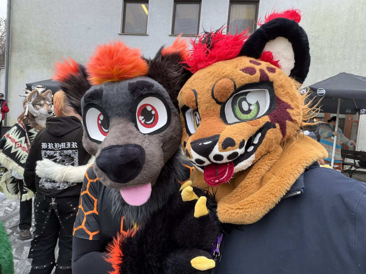 BegHaRest tweet media