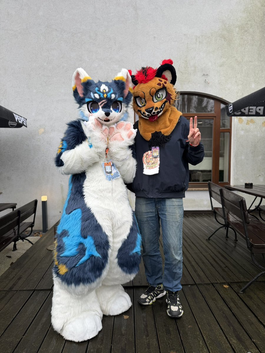 BegHaRest tweet media