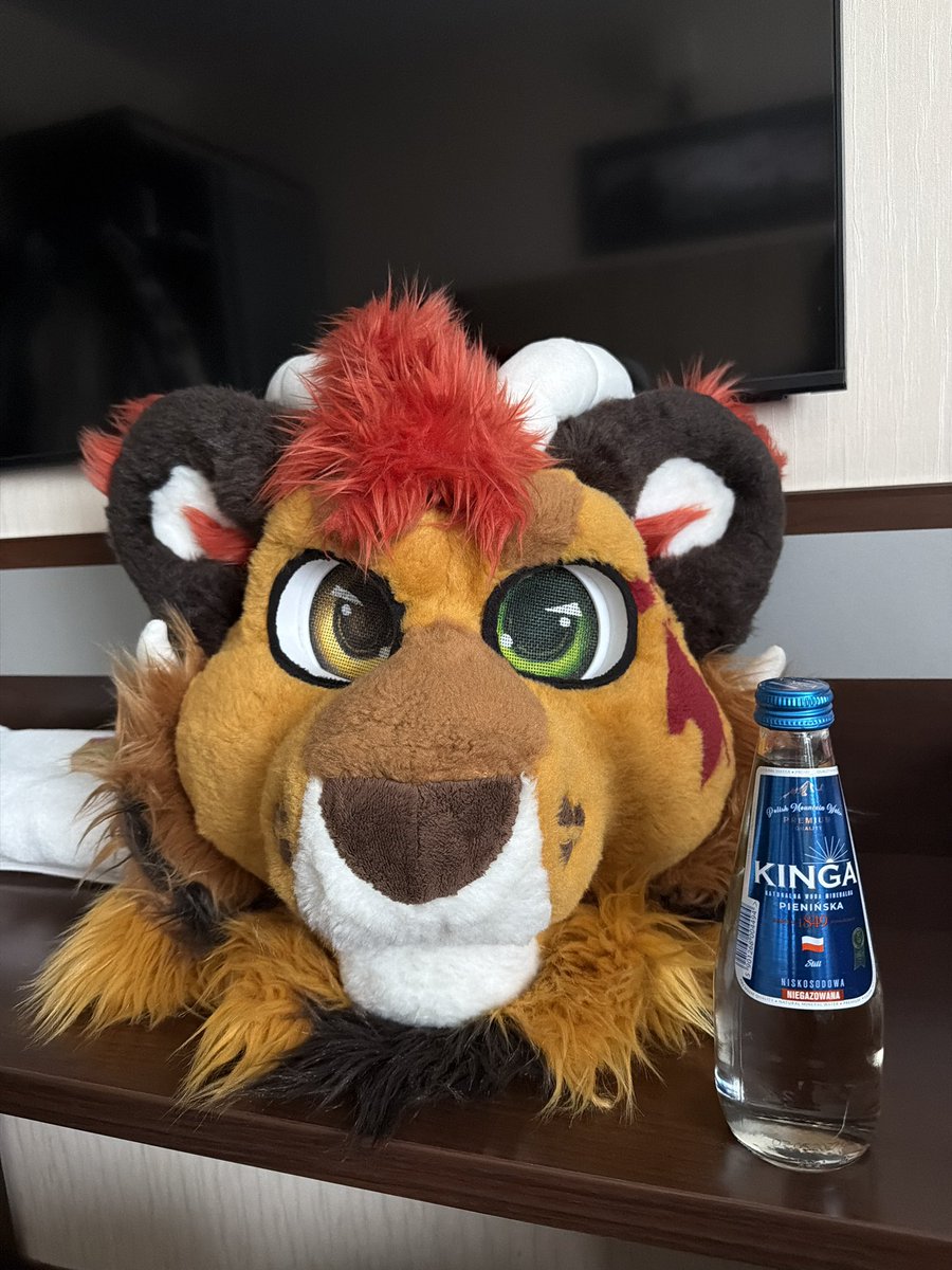 BegHaRest tweet media