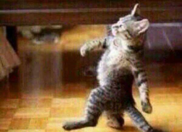 حاضره ببلاش