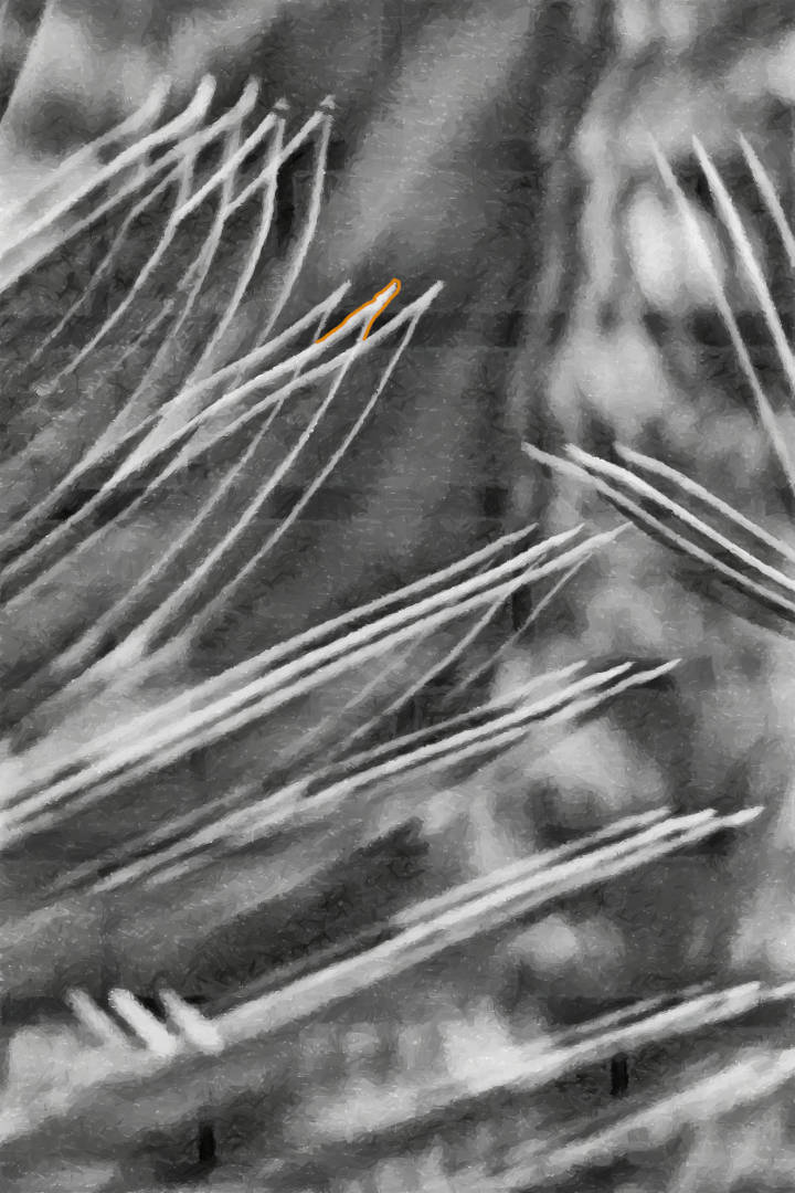 Titel: Blätter - Digitalart und Tusche Malerei. 

Title: leaves - digitalart and ink painting.
Jörg Schubert / #kunstnftstudio / Artists
 
#DigitalArt #Kunstfotografie  #NFTCollectors #Art #Painting #Malerei #Streetart #Graffiti #digitalwork #DigitalArtist #digitalpainting