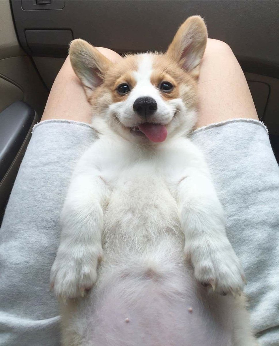 *Yo viendola quitarse la blusa.