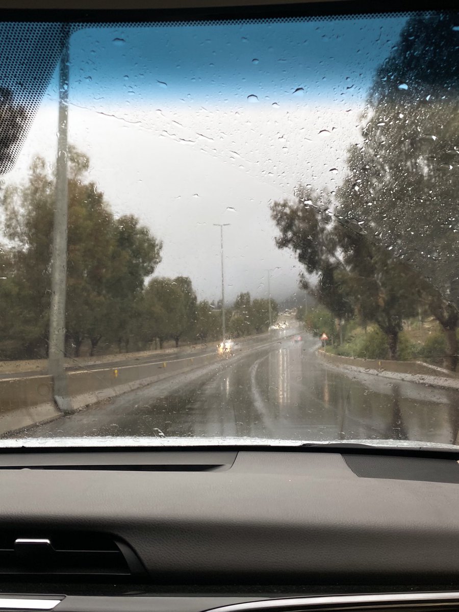 meshari.m tweet media