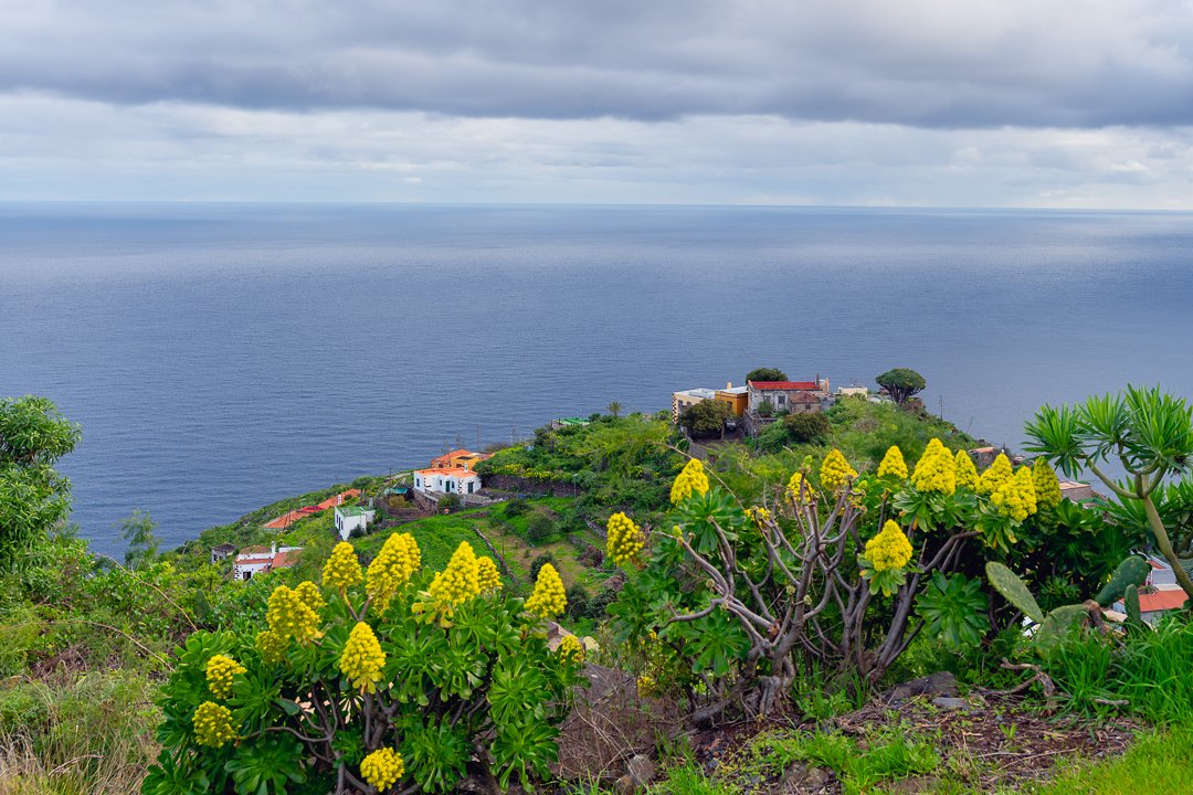 mauro_fotos's tweet photo. Tras las lluvias, la tierra canta.
-El Tablado, Villa de Garafía-
#LaPalma #Bejeques #mauro_fotos #Lluvias #Frío https://t.co/TiqC4wJ3Pw