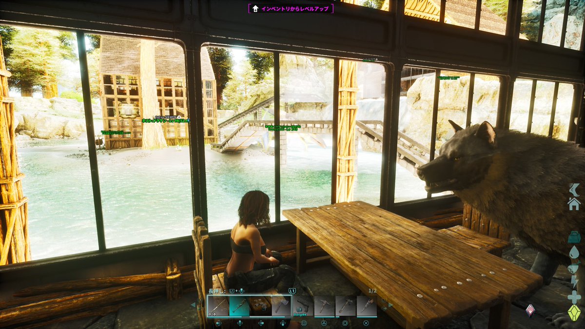 まめきち🏋🏾‍♀️ (@mamekichi0413) / Posts / X