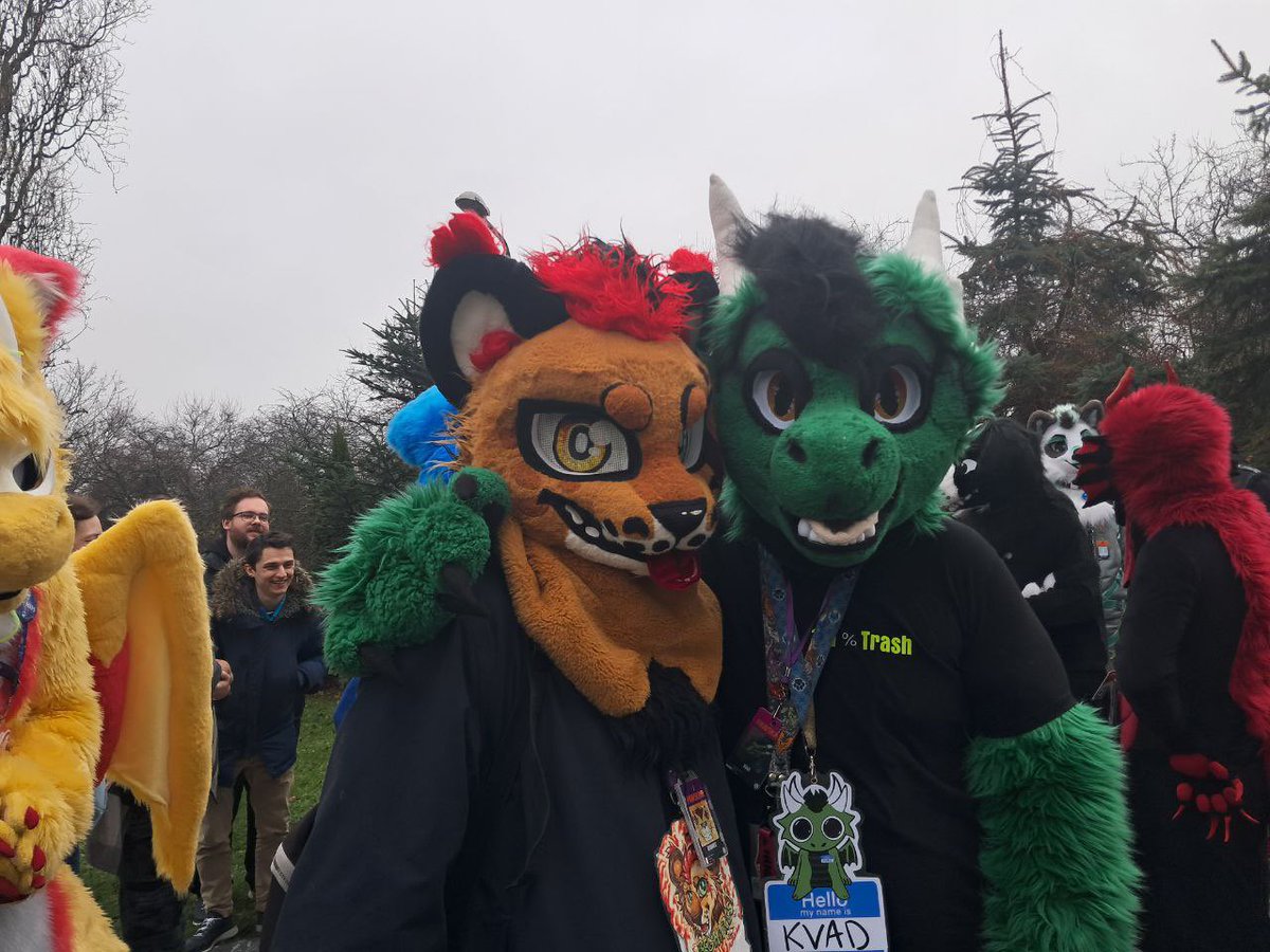 BegHaRest tweet media