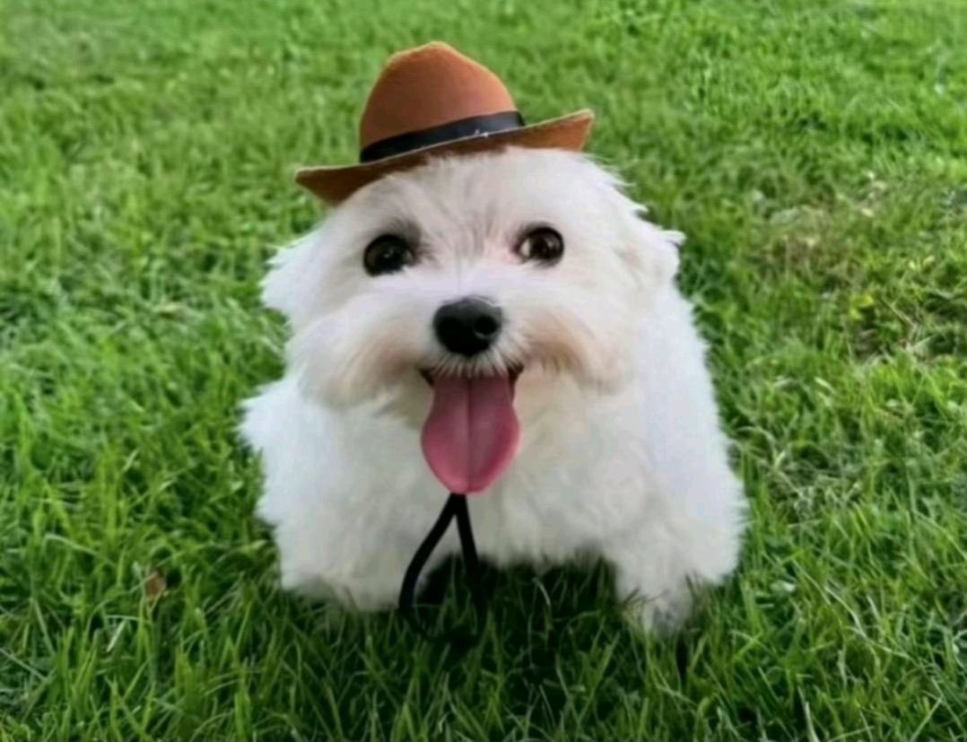 Izasaur0's tweet image. "nós brasileiros não somos só praia, samba, funk e futebol!!!"

Nós o ano inteiro: praia, samba, funk e futebol